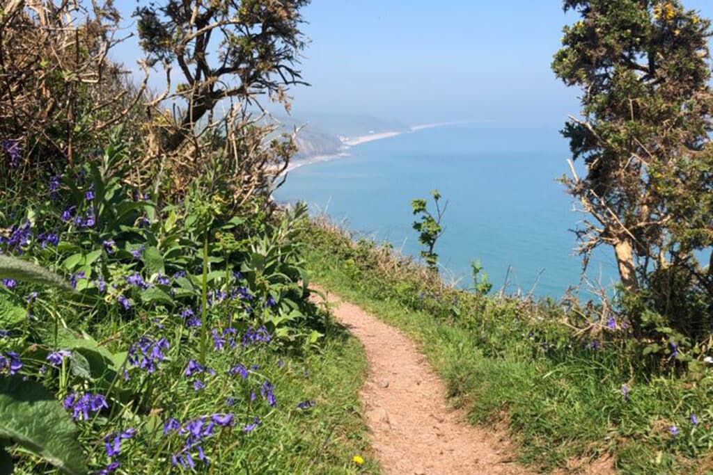 South West Coast Path, South Devon
