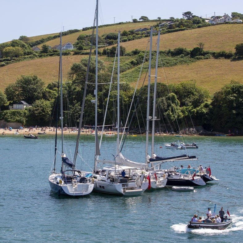 things to do in the south hams