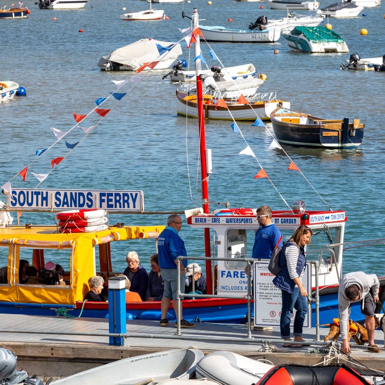 things to do in the south hams